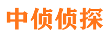 开平市婚外情调查